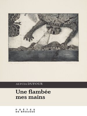 cover image of Une flambée mes mains